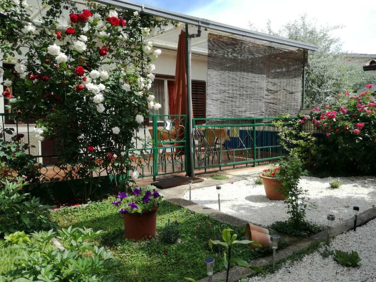 Vile Park Apartments Porec Exterior photo